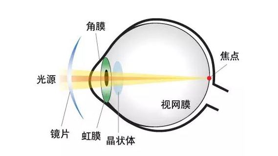 人眼與凸透鏡的關(guān)系